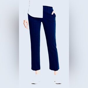Theory Midnight Blue Pants